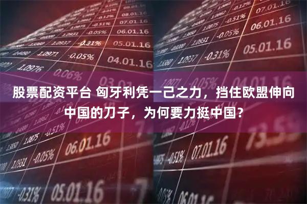 股票配资平台 匈牙利凭一己之力，挡住欧盟伸向中国的刀子，为何要力挺中国？